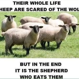 Meet your Posher, Bevely